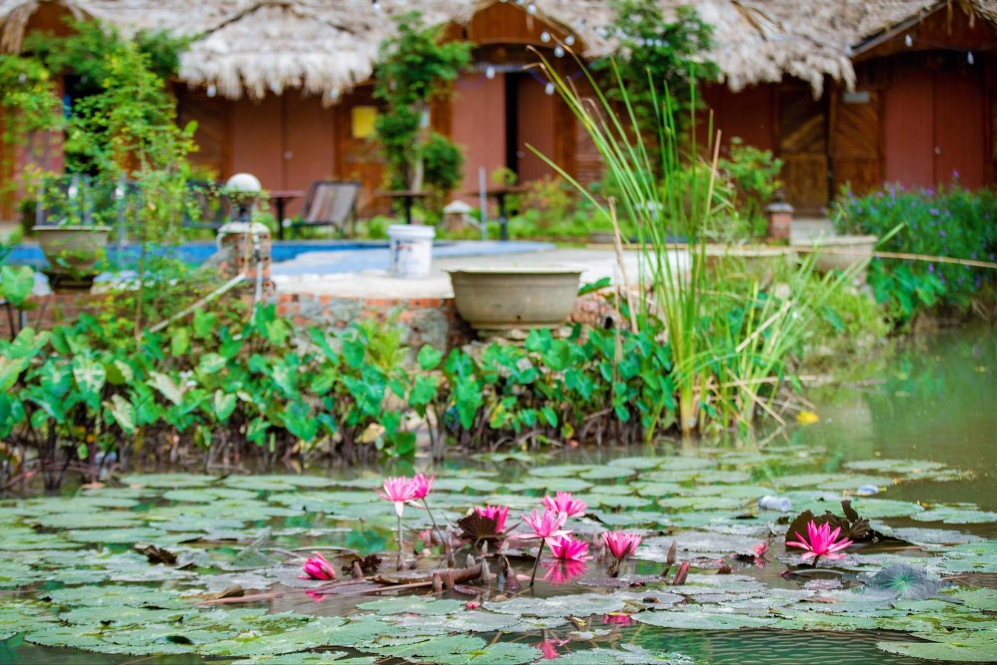 Trang An Passion Homestay Ninh Binh Eksteriør billede